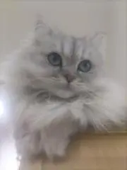 ま〜くんの画像