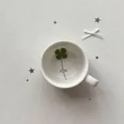 maaの画像