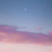 てぴょすの画像