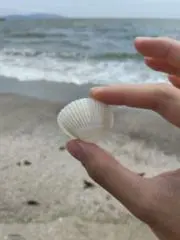 およよの画像