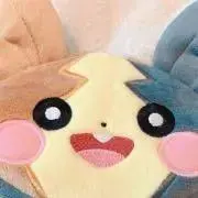 ひろの画像