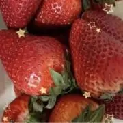 COCOの画像