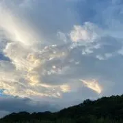 Karlieの画像