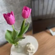 ひかりの画像