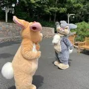 ブルーベリーチーズの画像