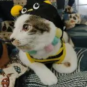 やまちゃん