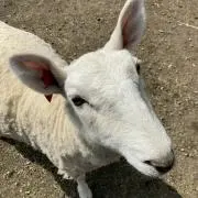 ひとさん