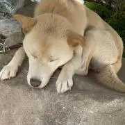 りん☺︎