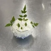 ☆ガッチャマン☆