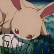 こぴるの画像