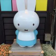 ここちゃんの画像