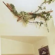 Oh Chanの画像