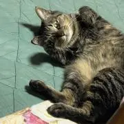 ゆう助