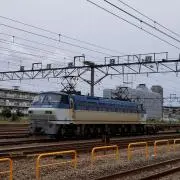 growth-zenの画像