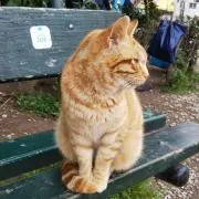 ユトレヒトの画像