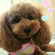 ⭐ぱーぷる⭐