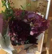 RiraTanakaの画像
