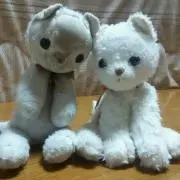 maririnまり