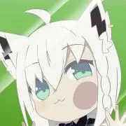 ニキの画像