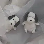Mayuの画像