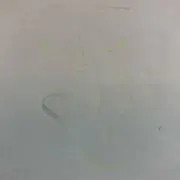 いなりずしの画像
