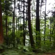 tの画像