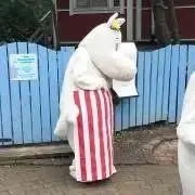catdogbearの画像