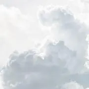 m.の画像