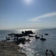_wata.08の画像