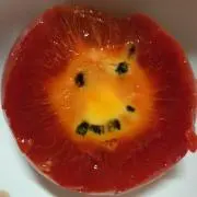 みさやんの画像