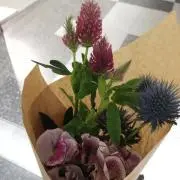 はなはな