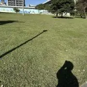 1ˢᵗᵃʳ プロフ必読の画像