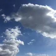 ひなたぼっこの画像