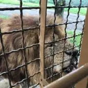 あだっち
