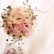 lalaの画像