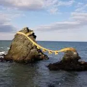 コンプカイの画像