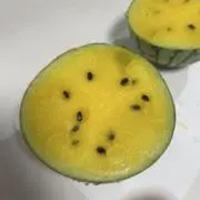 アイボリーの画像