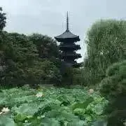aquaの画像