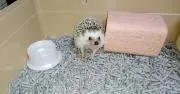 こりん　♡♡の画像