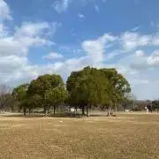 ミキティ⭐️の画像