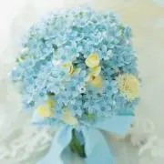 たきみき