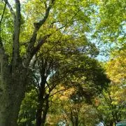 みのはるの画像