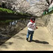 ちゃいちーるの画像