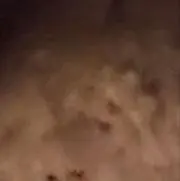 つつほの画像