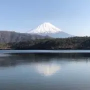rmkk0ta1の画像