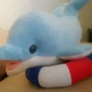 ひろの画像