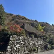 calpissの画像