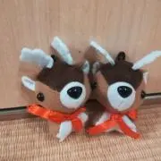 鹿と鹿の画像