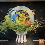 かたかたの画像