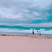 yuripeの画像